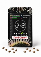 Auto Devil Cream feminised Ganja Seeds