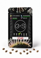 2046 feminised Ganja Seeds