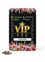 Auto Psylocke feminised GanjaVIP Seeds