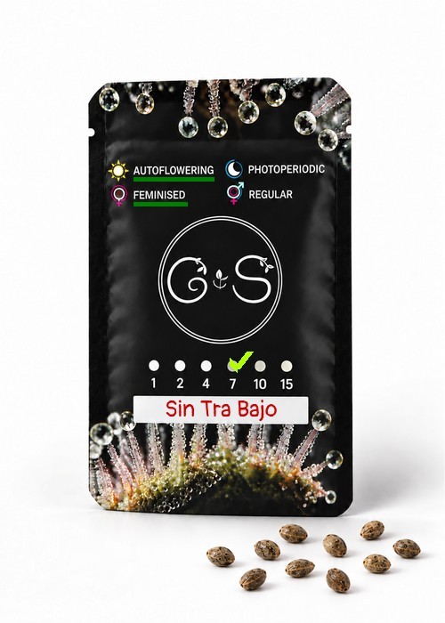 Семена  Auto Sin Tra Bajo feminised Ganja Seeds
