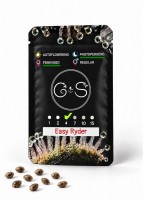 Easy Ryder feminised Ganja Seeds
