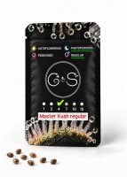 Master Kush regular Ganja Seeds