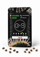 Auto Jack feminised Ganja Seeds