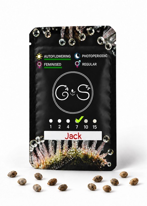Семена  Auto Jack feminised Ganja Seeds