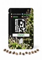Charyn feminised Bang Seeds