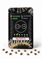 Auto Big Devil XL feminised Ganja Seeds