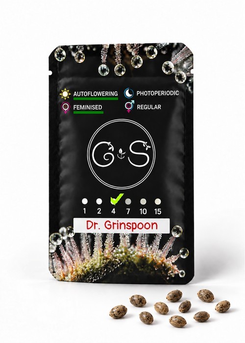 Семена каннабиса  Auto Dr. Grinspoon feminised Ganja Seeds