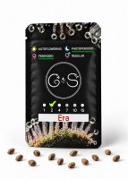 Era feminised Ganja Seeds