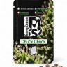 Chuck Chuck