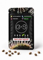 Hercules regular Ganja Seeds