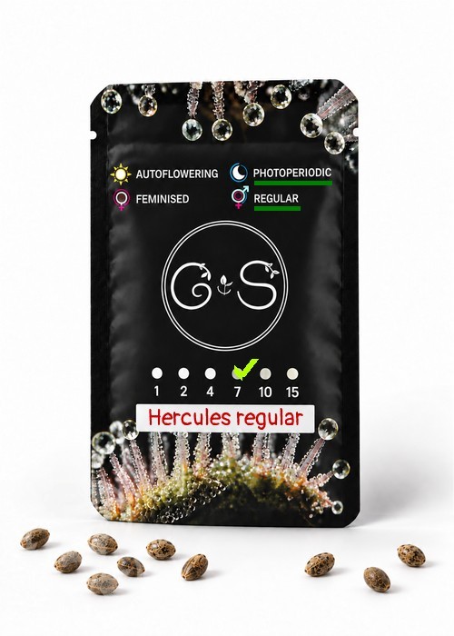 Семена  Hercules regular Ganja Seeds
