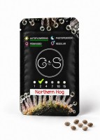 Auto Northern Hog feminised Ganja Seeds