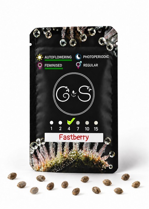 Семена ганжа  Auto Fastberry feminised Ganja Seeds