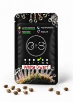Auto White Dwarf feminised Ganja Seeds