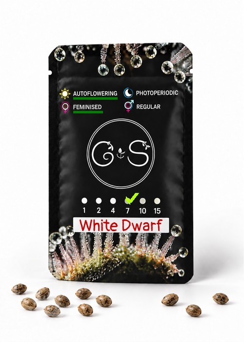 Семена марихуаны  Auto White Dwarf feminised Ganja Seeds