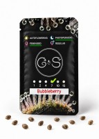 Bubbleberry feminised Ganja Seeds
