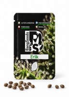 Erlik feminised Bang Seeds