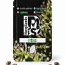 Irbis