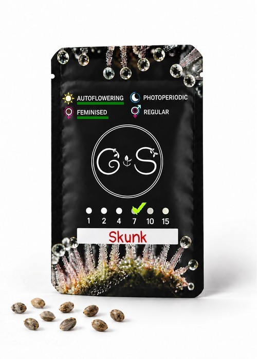Семена ганжа  Auto Skunk feminised Ganja Seeds