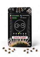 Auto Snow Queen feminised Ganja Seeds