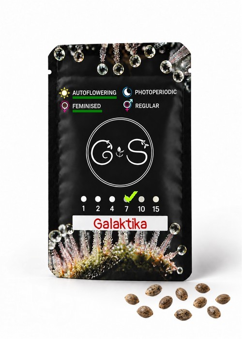 Семена  Auto Galaktika feminised Ganja Seeds