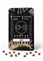M8 feminised Ganja Seeds