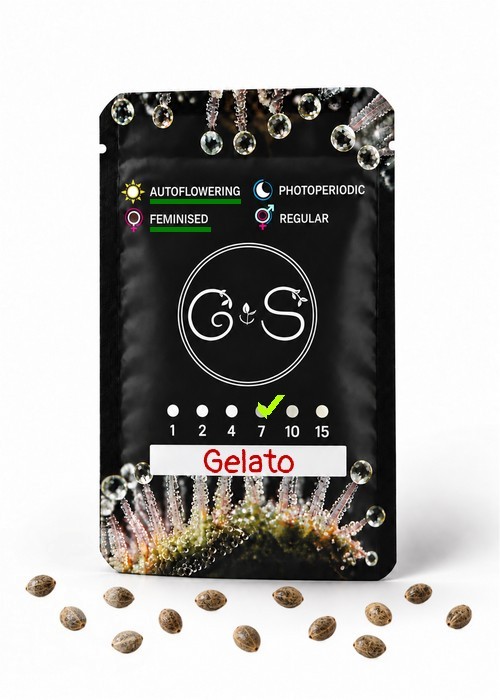 Семена конопли  Auto Gelato feminised Ganja Seeds