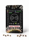 Hash Passion feminised Ganja Seeds
