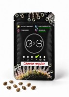 Cheese regular Ganja Seeds