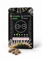 Auto Maxigom x Northern Lights feminised Ganja Seeds