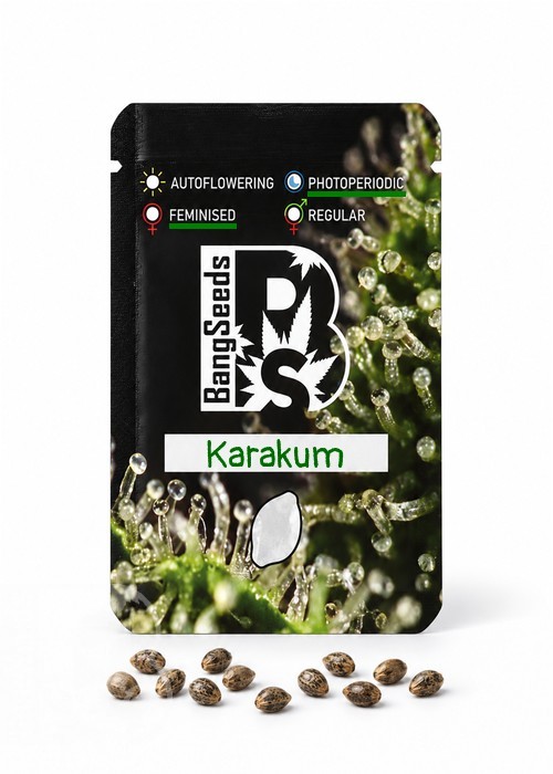 Семена конопли Karakum feminised Bang Seeds