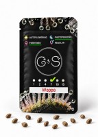 Wappa feminised Ganja Seeds