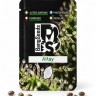 Altay