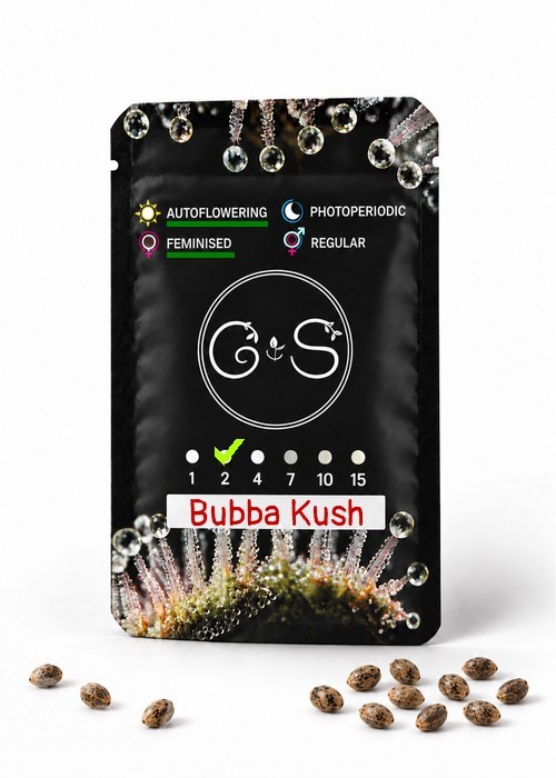 Семена ганжа  Auto Bubba Kush feminised Ganja Seeds