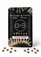 Auto Crystal Candy feminised Ganja Seeds
