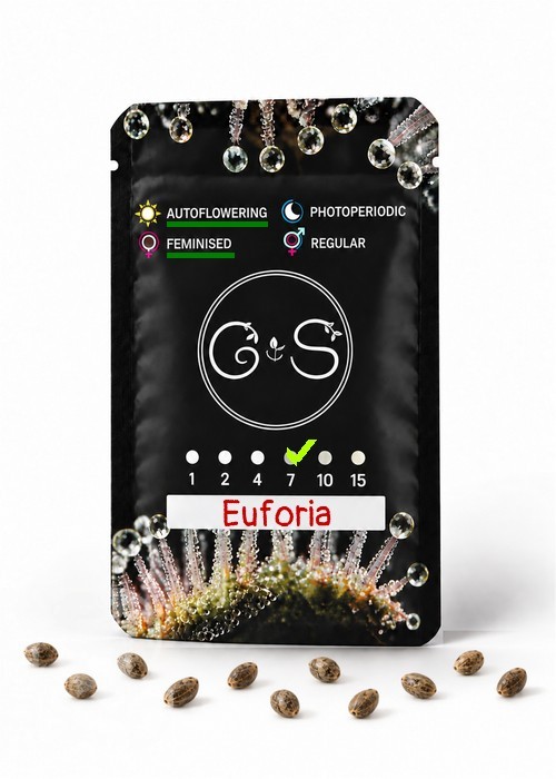 Семена  Auto Euforia feminised Ganja Seeds