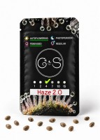 Auto Haze 2.0 feminised Ganja Seeds