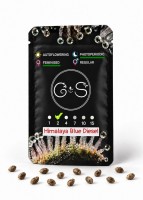 Himalaya Blue Diesel feminised Ganja Seeds