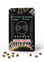 White Widow feminised Ganja Seeds