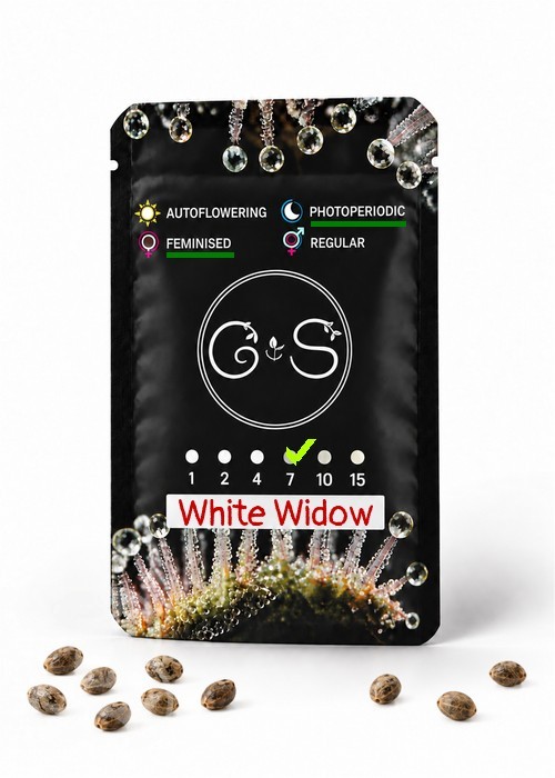 Семена ганжа  White Widow feminised Ganja Seeds