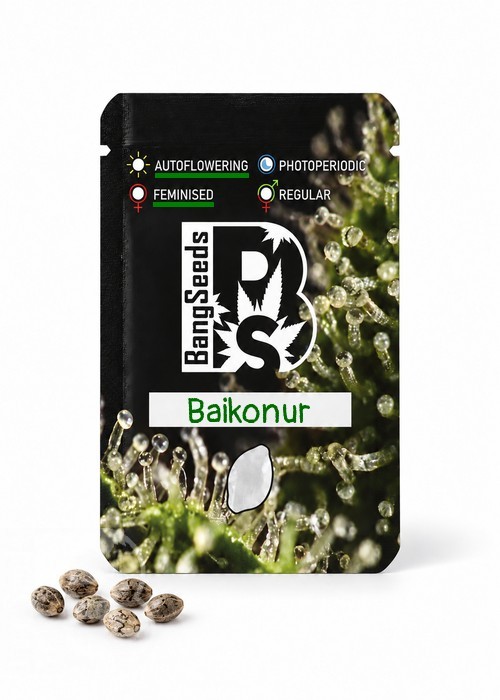 Семена марихуаны  Auto Baikonur feminised Bang Seeds