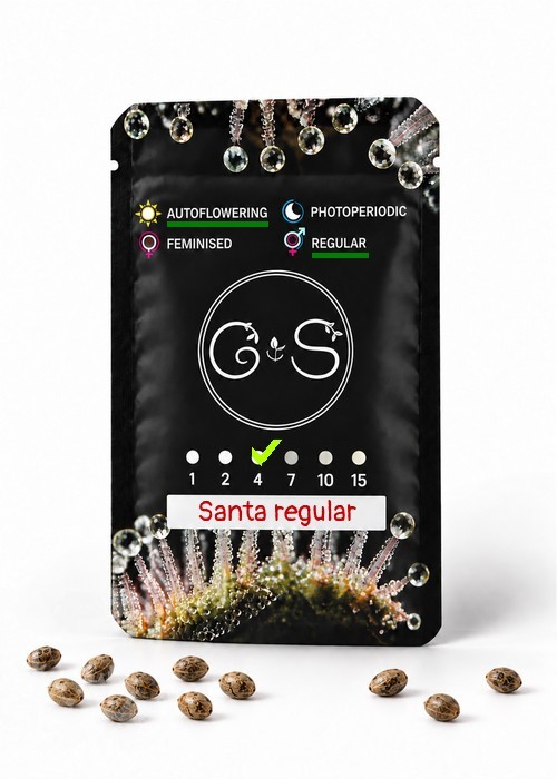 Семена  Auto Santa regular Ganja Seeds