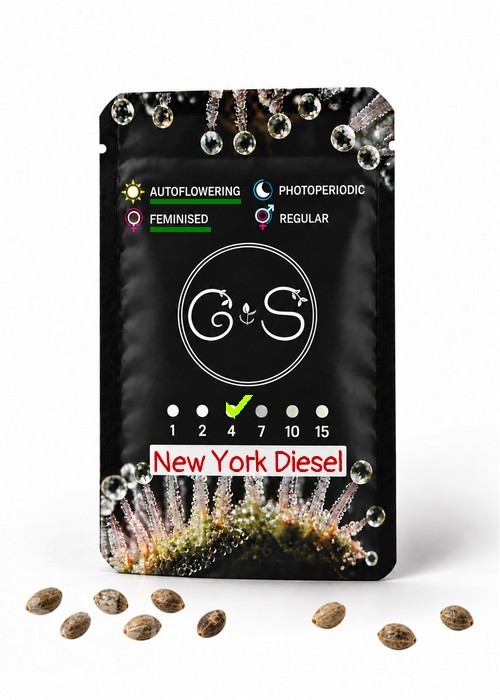Семена  Auto New York Diesel feminised Ganja Seeds