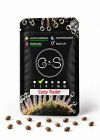 Auto Easy Ryder feminised Ganja Seeds