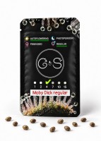 Auto Moby Dick regular Ganja Seeds
