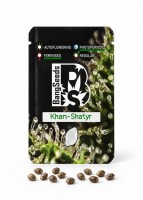 Khan-Shatyr feminised Bang Seeds
