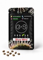 Auto Blow Mind feminised Ganja Seeds