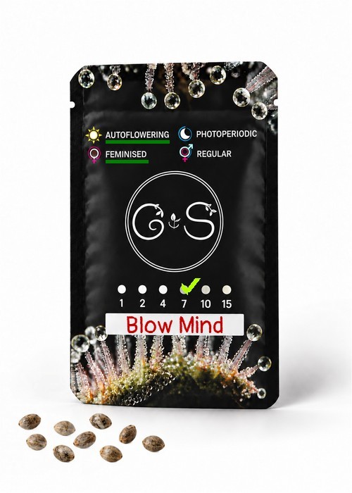 Семена  Auto Blow Mind feminised Ganja Seeds