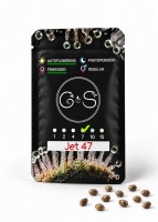 Auto Jet 47 feminised Ganja Seeds
