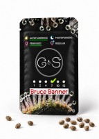 Auto Bruce Banner feminised Ganja Seeds